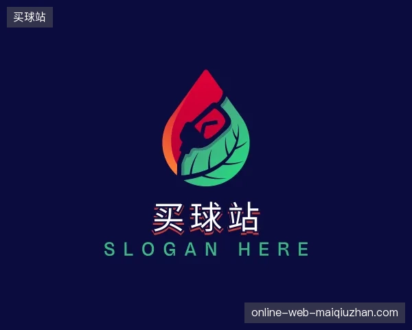 解读买球站官方网站